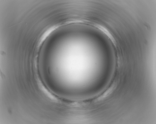 X0000090950906200708021334