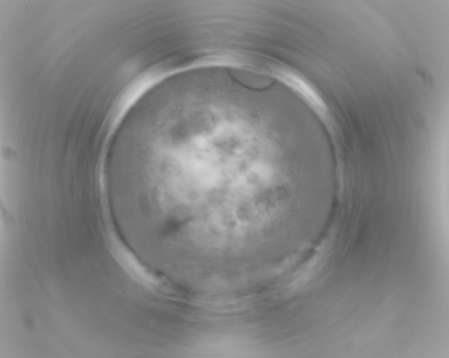 X0000090950907200708021334