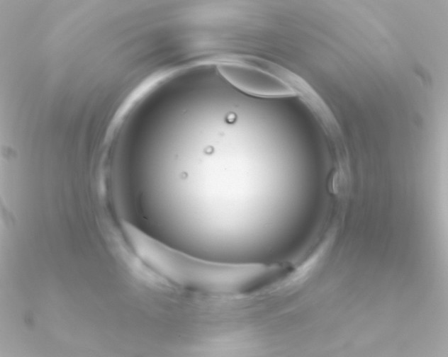 X0000090950908200708021334