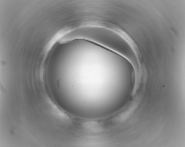 X0000090950909200708021334