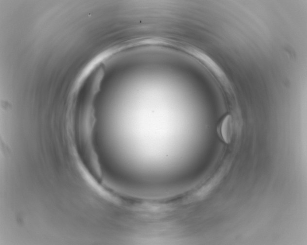 X0000090950910200708021334