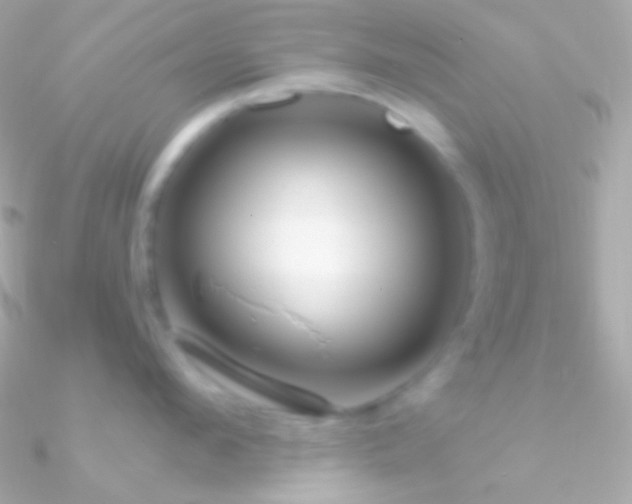 X0000090950912200708021334