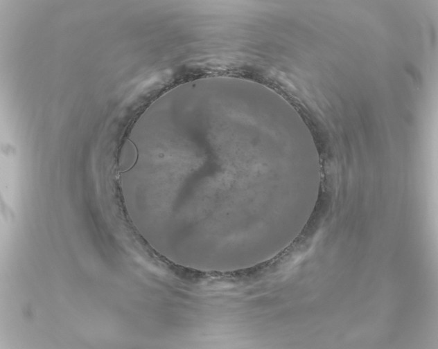 X0000090950913200708021333