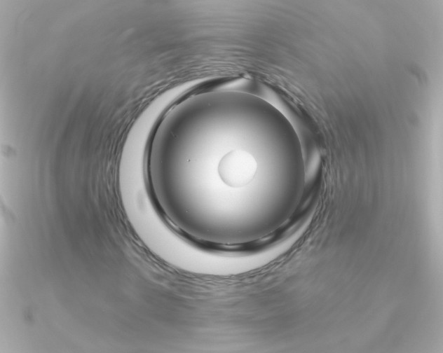 X0000090950914200708021333