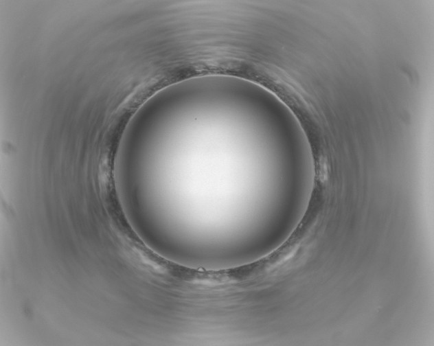 X0000090950915200708021333