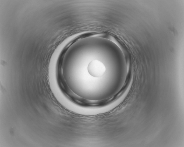 X0000090950916200708021333
