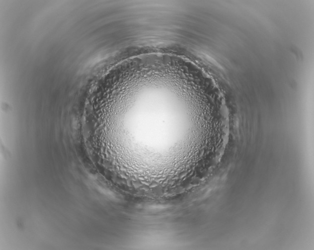 X0000090950917200708021333