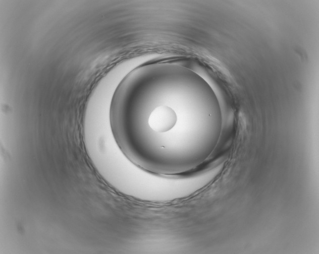 X0000090950918200708021333