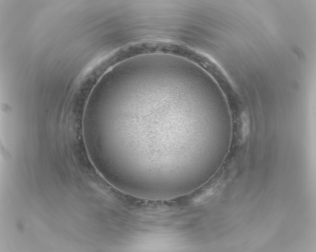 X0000090950919200708021333