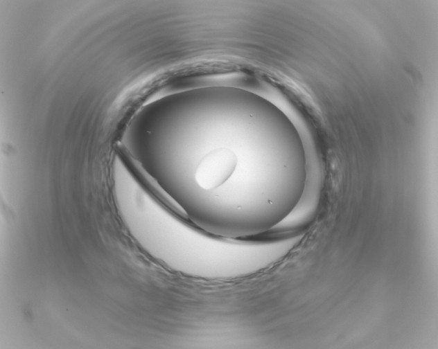 X0000090950920200708021333