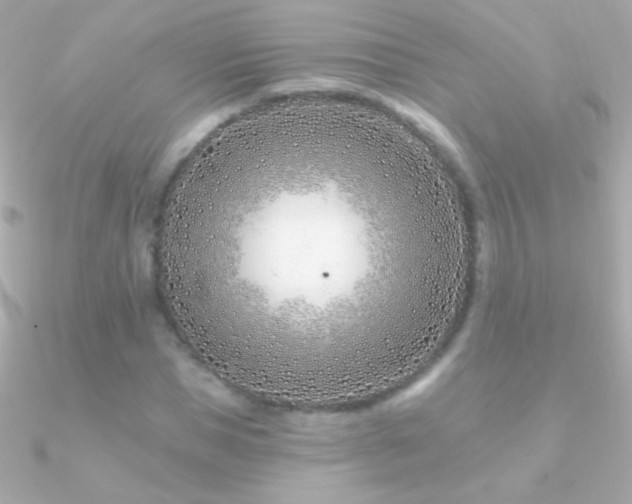 X0000090950921200708021333