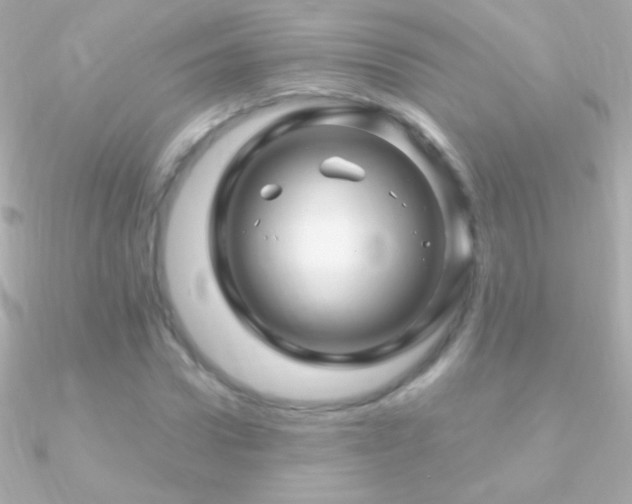 X0000090950922200708021333