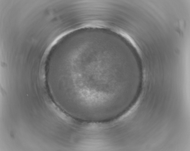 X0000090950923200708021333
