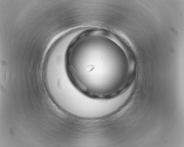 X0000090950924200708021333