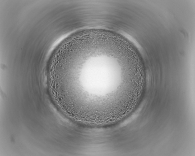 X0000090950925200708021334