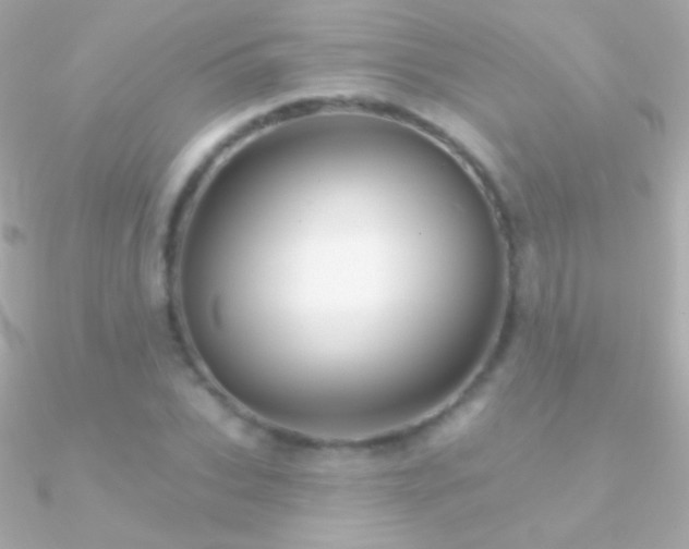 X0000090950927200708021334