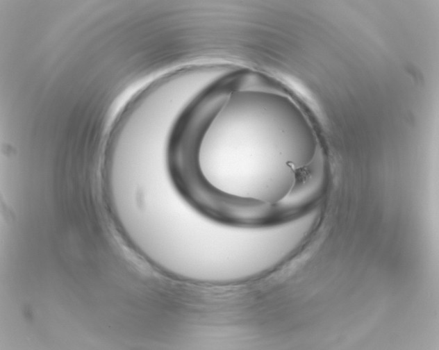 X0000090950928200708021334