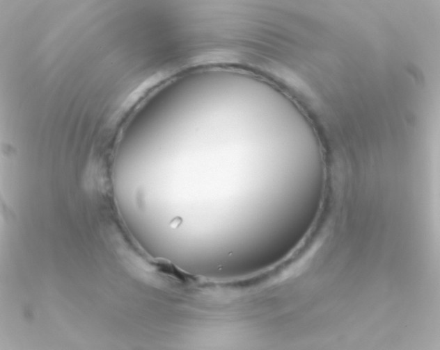 X0000090950929200708021334