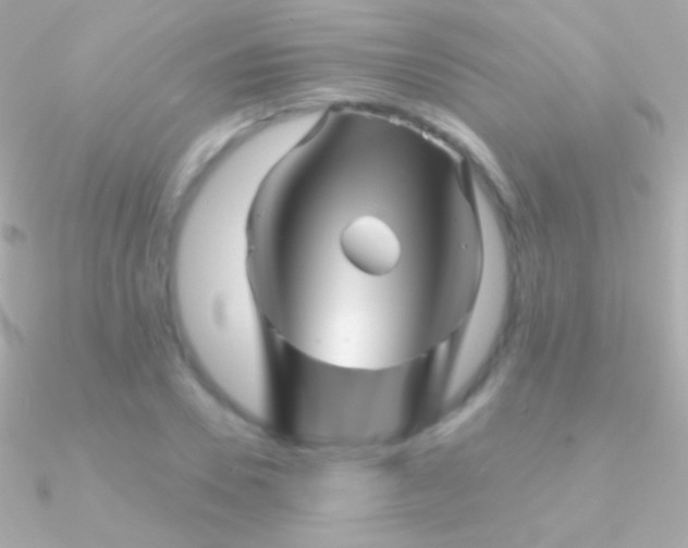 X0000090950930200708021334