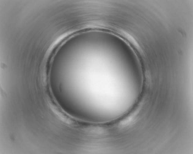 X0000090950931200708021334