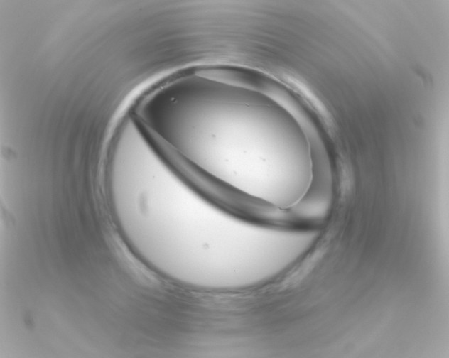 X0000090950932200708021334