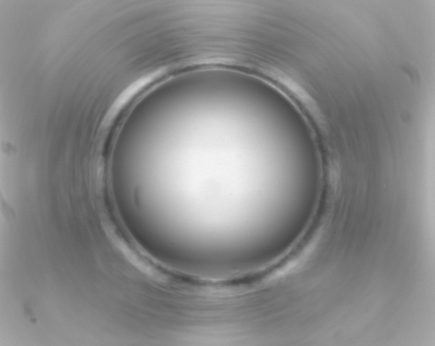 X0000090950933200708021334