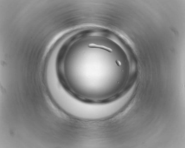X0000090950934200708021334