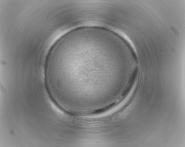X0000090950935200708021334