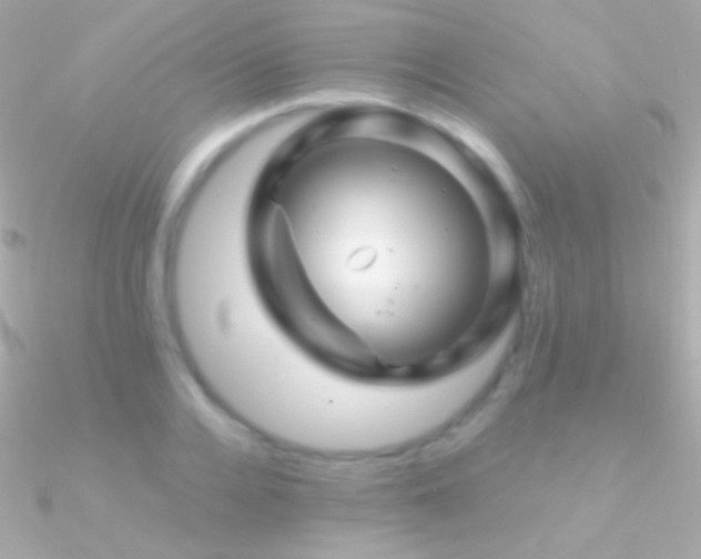 X0000090950936200708021334