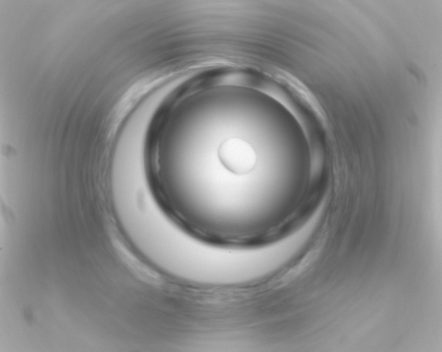 X0000090950938200708021334