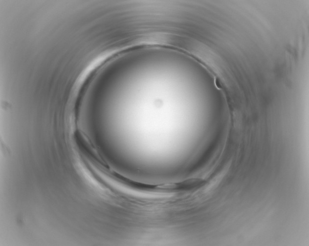 X0000090950939200708021334
