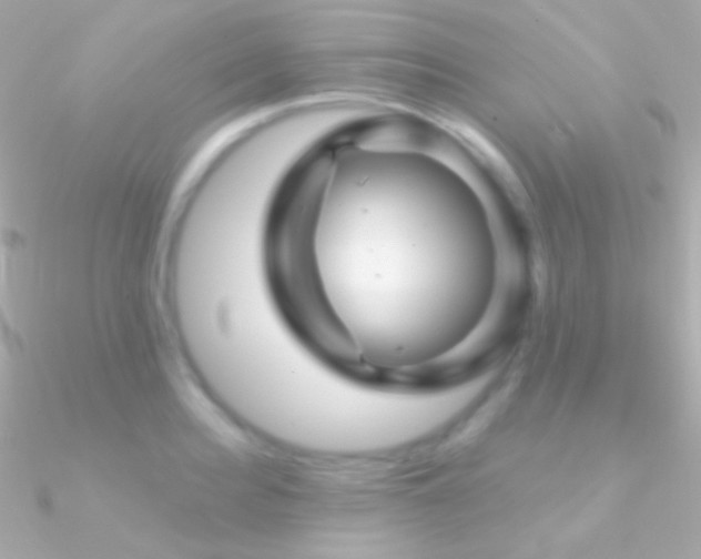 X0000090950940200708021334