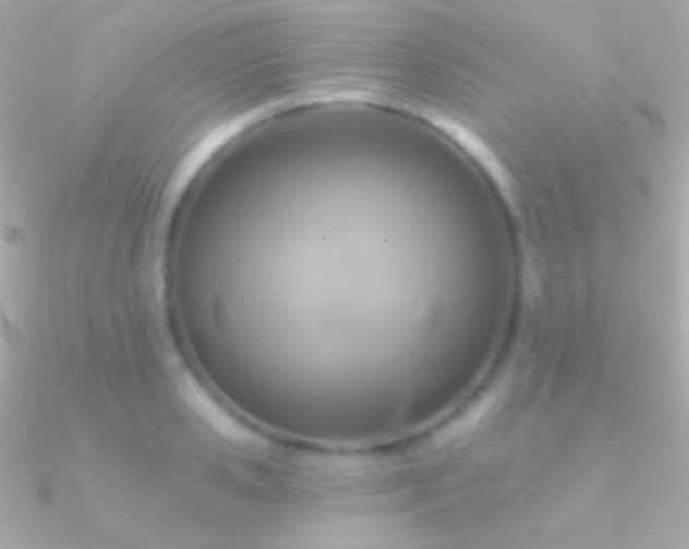 X0000090950941200708021334