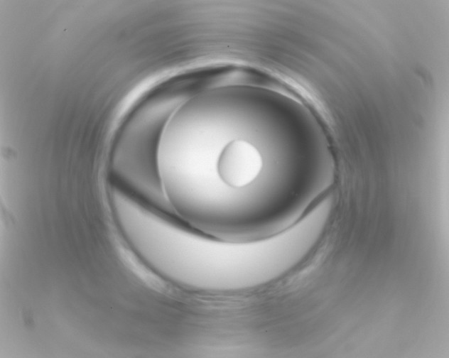 X0000090950942200708021334