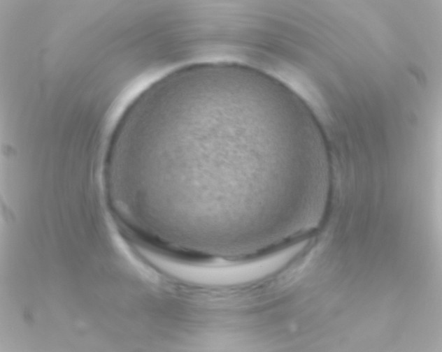 X0000090950943200708021334