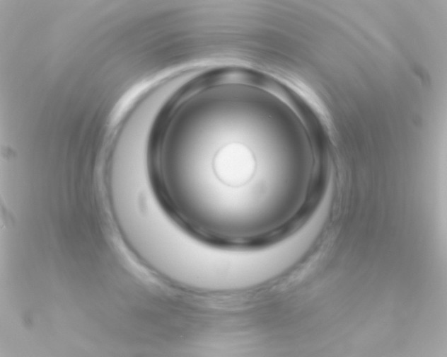 X0000090950944200708021334