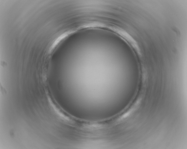 X0000090950945200708021334