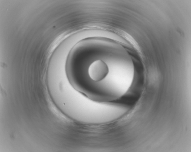 X0000090950946200708021334