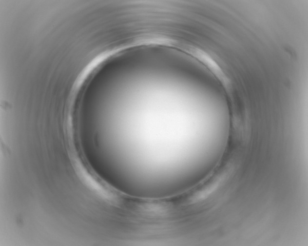 X0000090950947200708021334