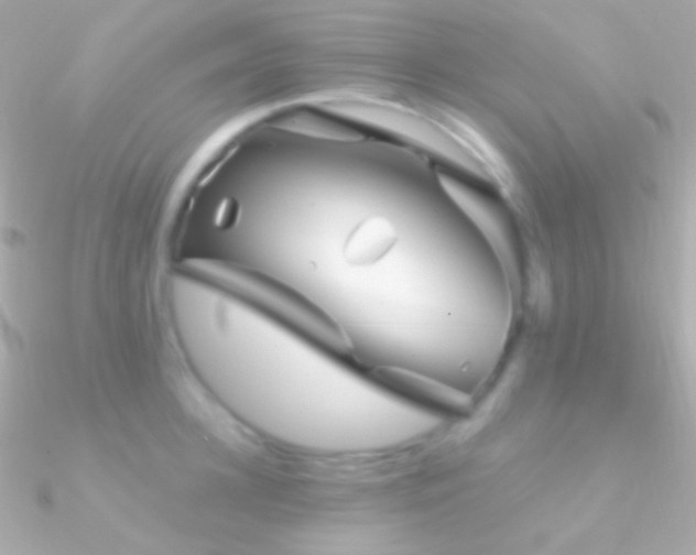 X0000090950948200708021334