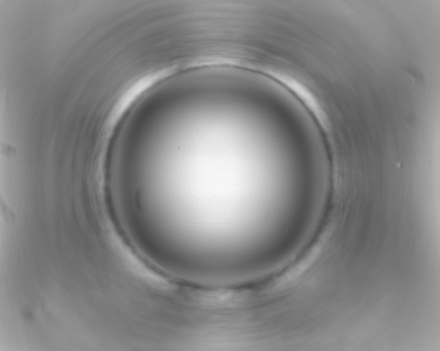 X0000090950949200708021334