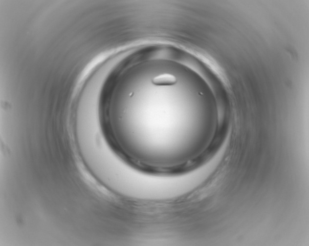 X0000090950950200708021334