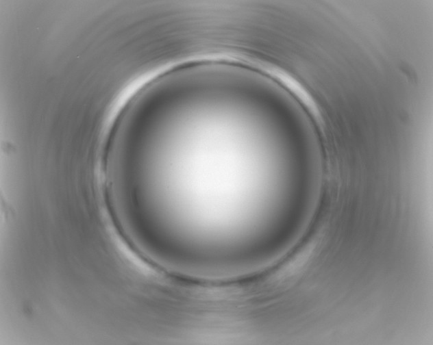 X0000090950951200708021334