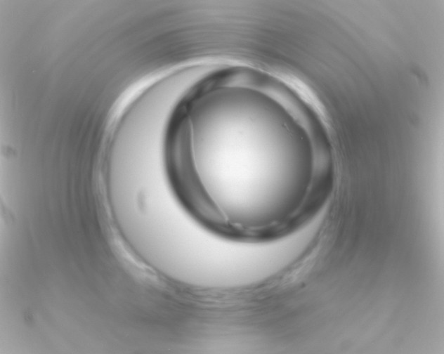 X0000090950952200708021334