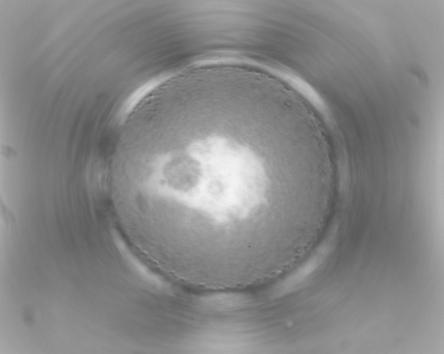 X0000090950953200708021334