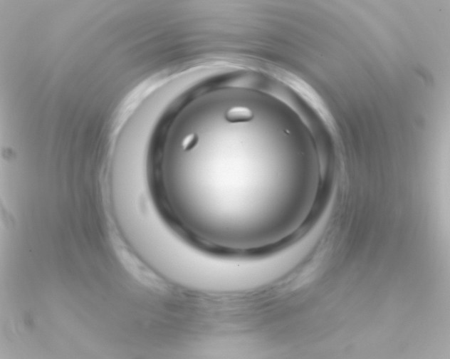 X0000090950954200708021334