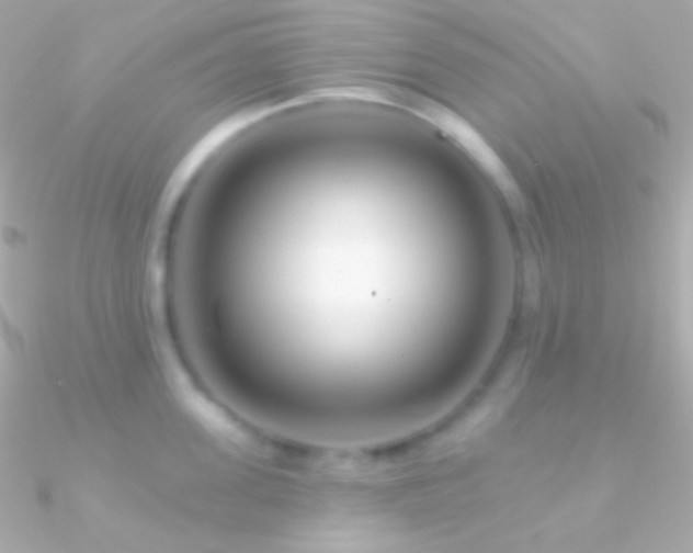 X0000090950955200708021334