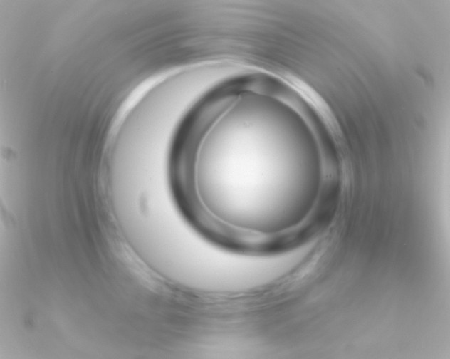 X0000090950956200708021334