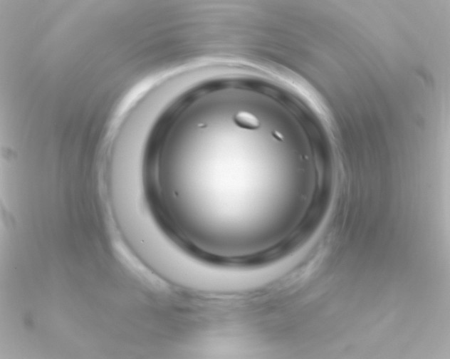 X0000090950958200708021334