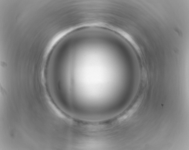 X0000090950959200708021334